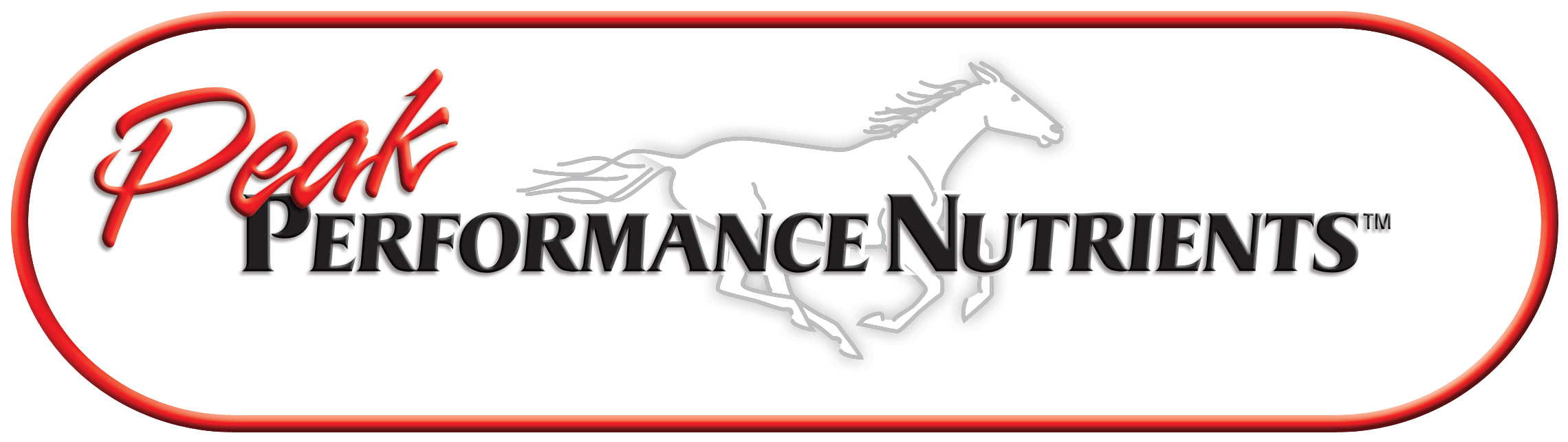 Instagram post from equine